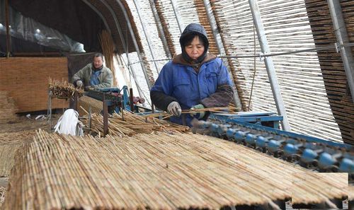白洋淀苇编编织工艺 世界非物质文化遗产