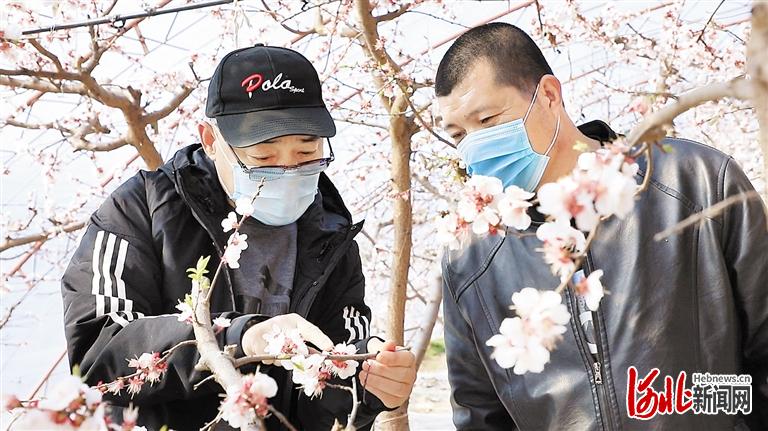 <b>辛集市组织农技人员送技术进大棚 助农产品稳产保供</b>