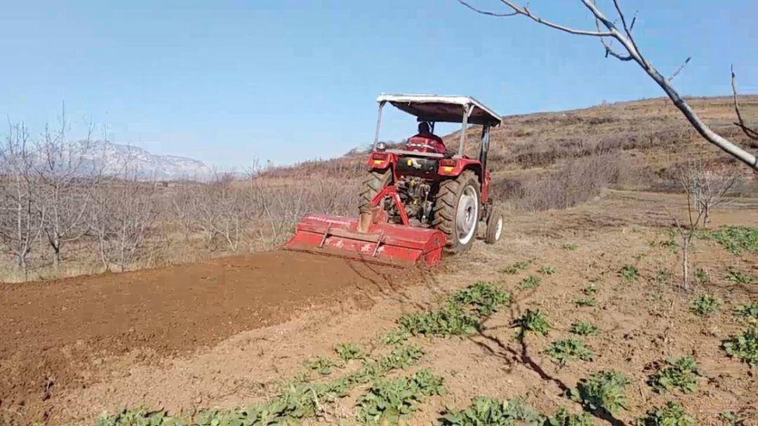 河北邯郸邯山区切实做好春耕备播