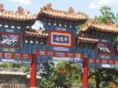 春到荣国府，最美海棠红