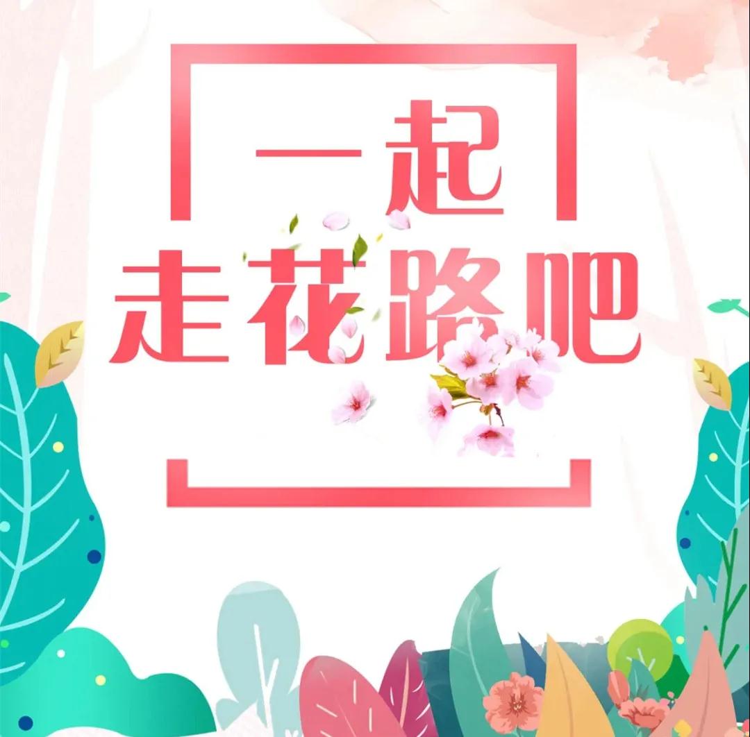 一起走花路吧 | 免门票！无法抗拒的纯色浪漫，河北万亩梨花绽放，美到“出圈