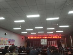 平山镇党史学习教育情况