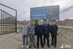 藏诺药业产业援藏力促当地经济发展   ----董事长王智森视察西藏种苗繁育种植