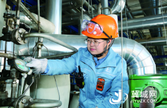 小“水苗”长成参天树